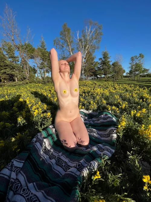 Ray of Sunshine ☀️ (f)