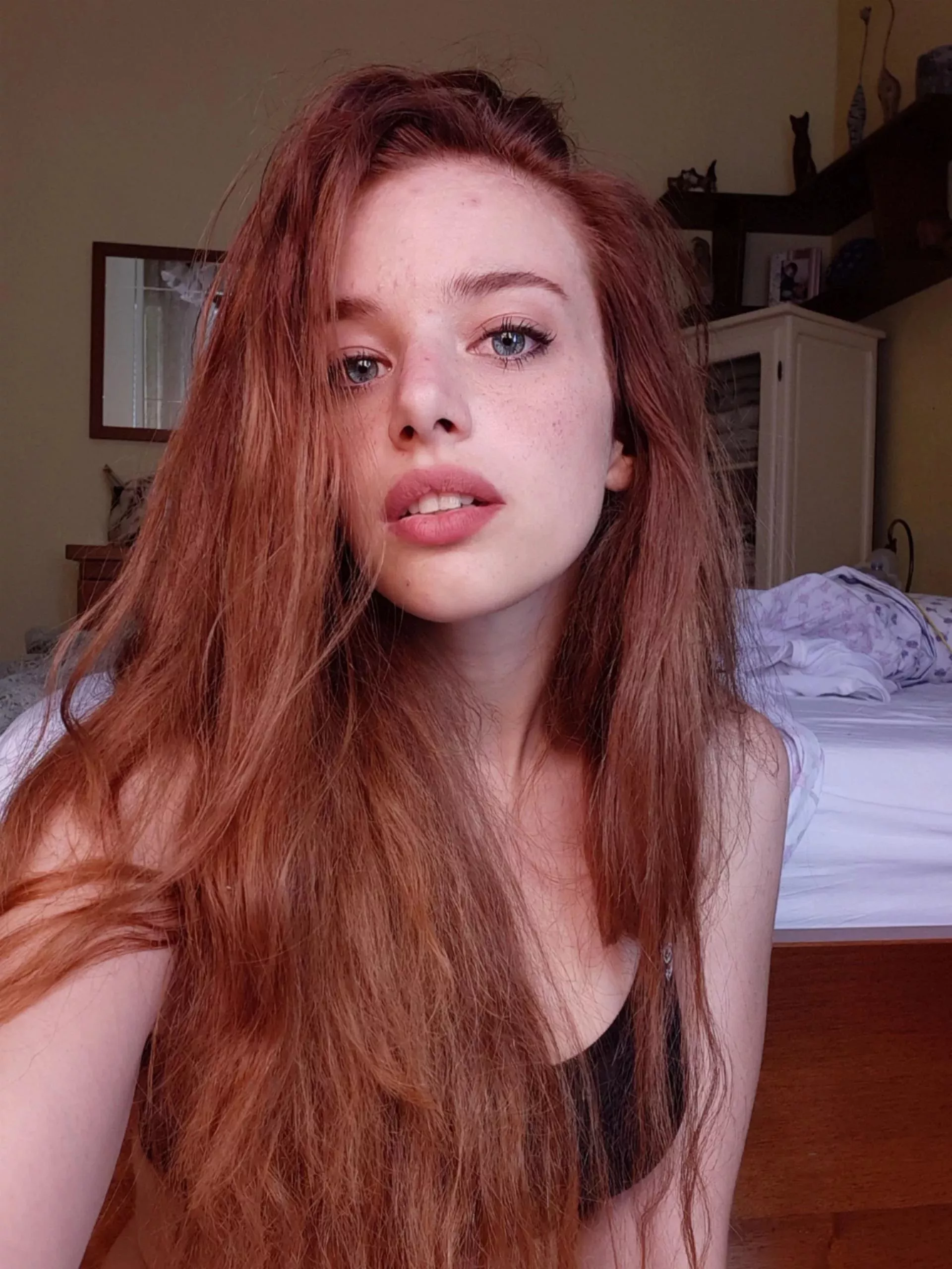 Red IRTR