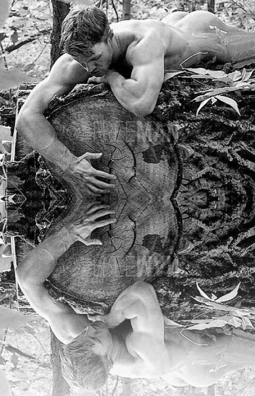 “Reflection” …