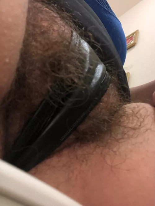 Ride my magic carpet? [OC]