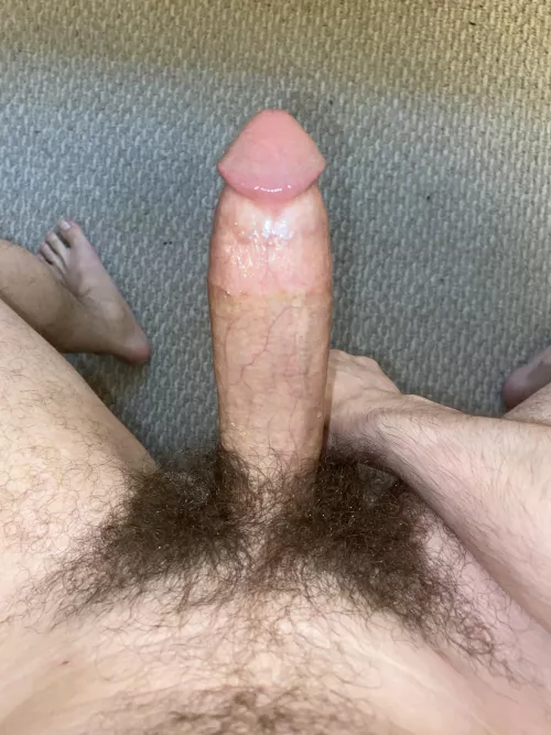 Rock hard manly dick ready to stuff you