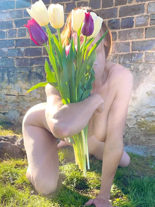 Romance me with tulips