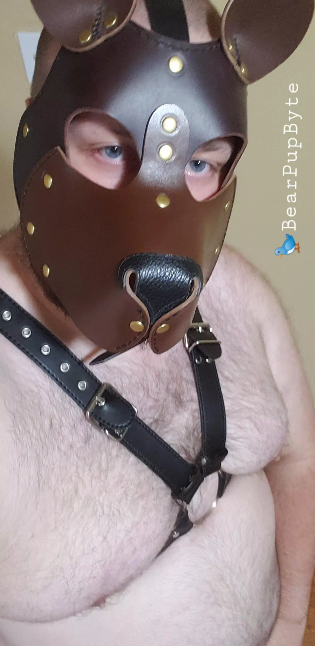 Rub my belly and call me a good cub.