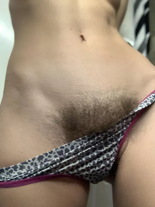 Rugs so full of bush