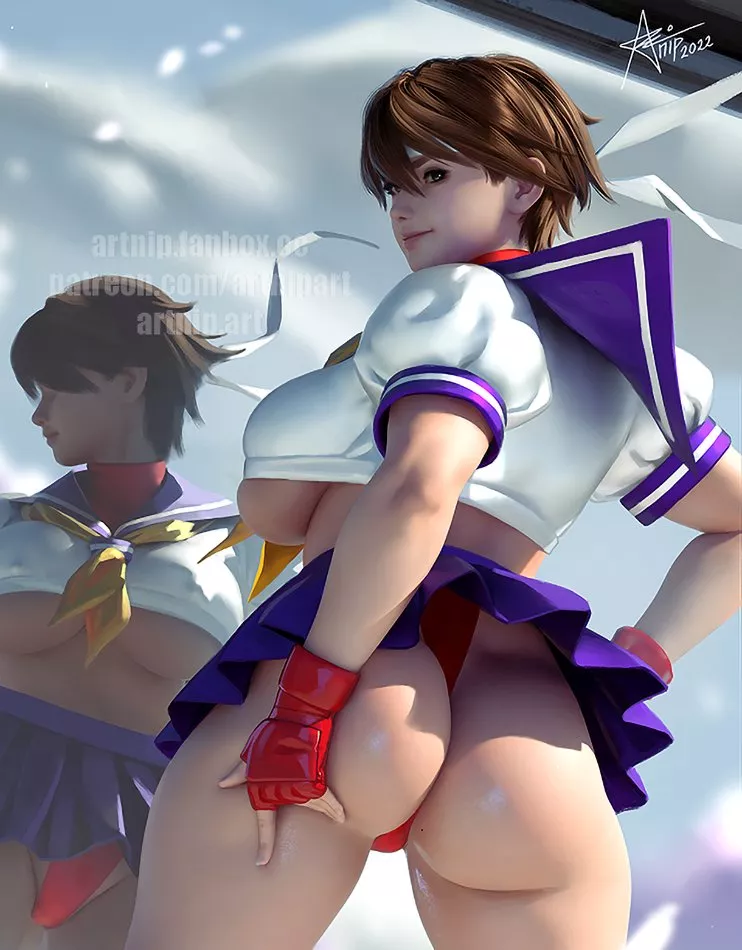 Sakura (Artnip) [Street Fighter]