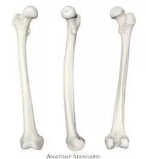 [Sans’s boner]