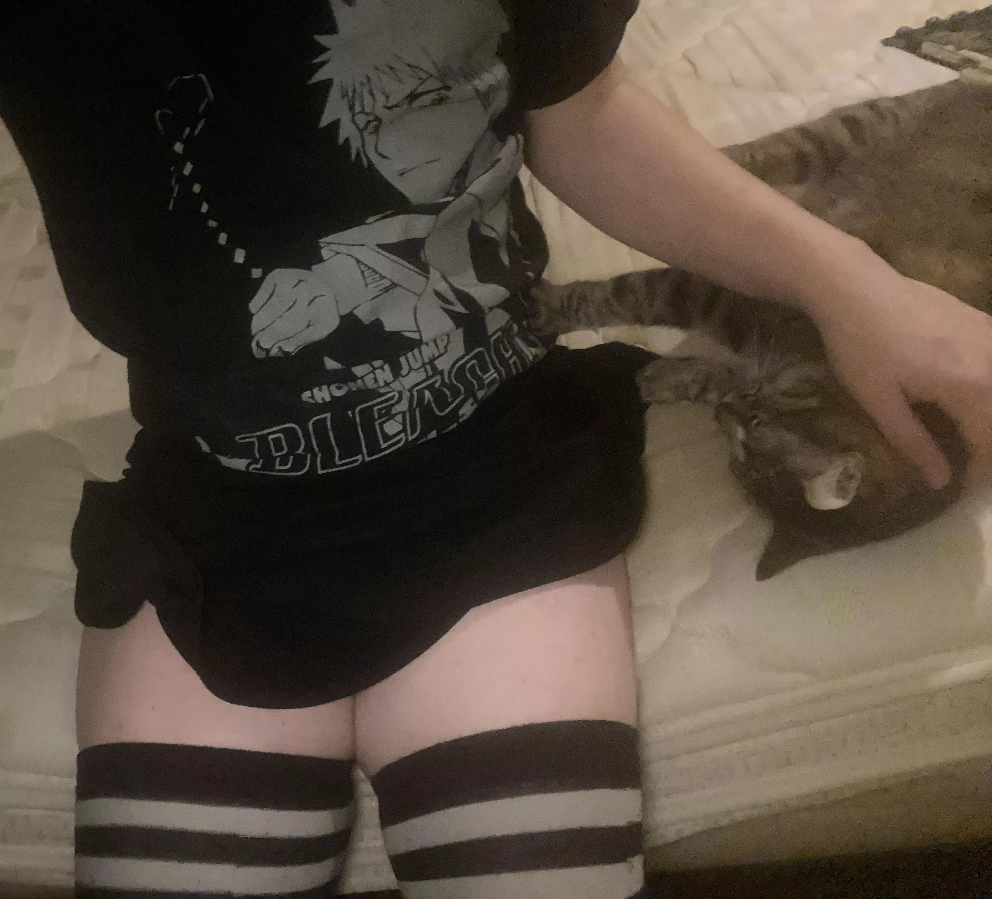 Say hi to my cat :3