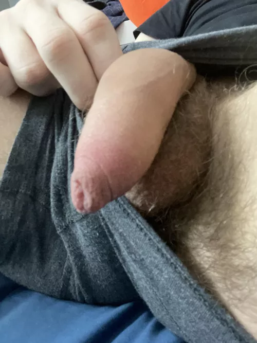 Say hi to my little soft friend ^^🥰🥰💜