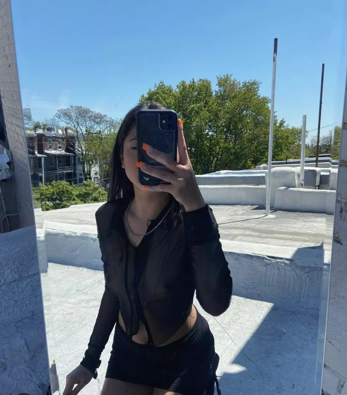 see through mesh