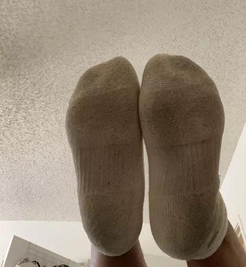selling my stinky everyday socks 🧀