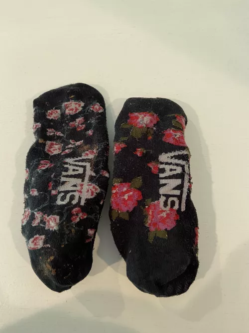 Selling these stinky vans socks 😈 dm me