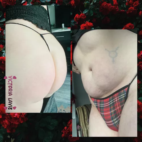 🎀[selling] 🇺🇸[USA] ($35) + fetish add-ons available💕2 polaroids included💕see comments☑️