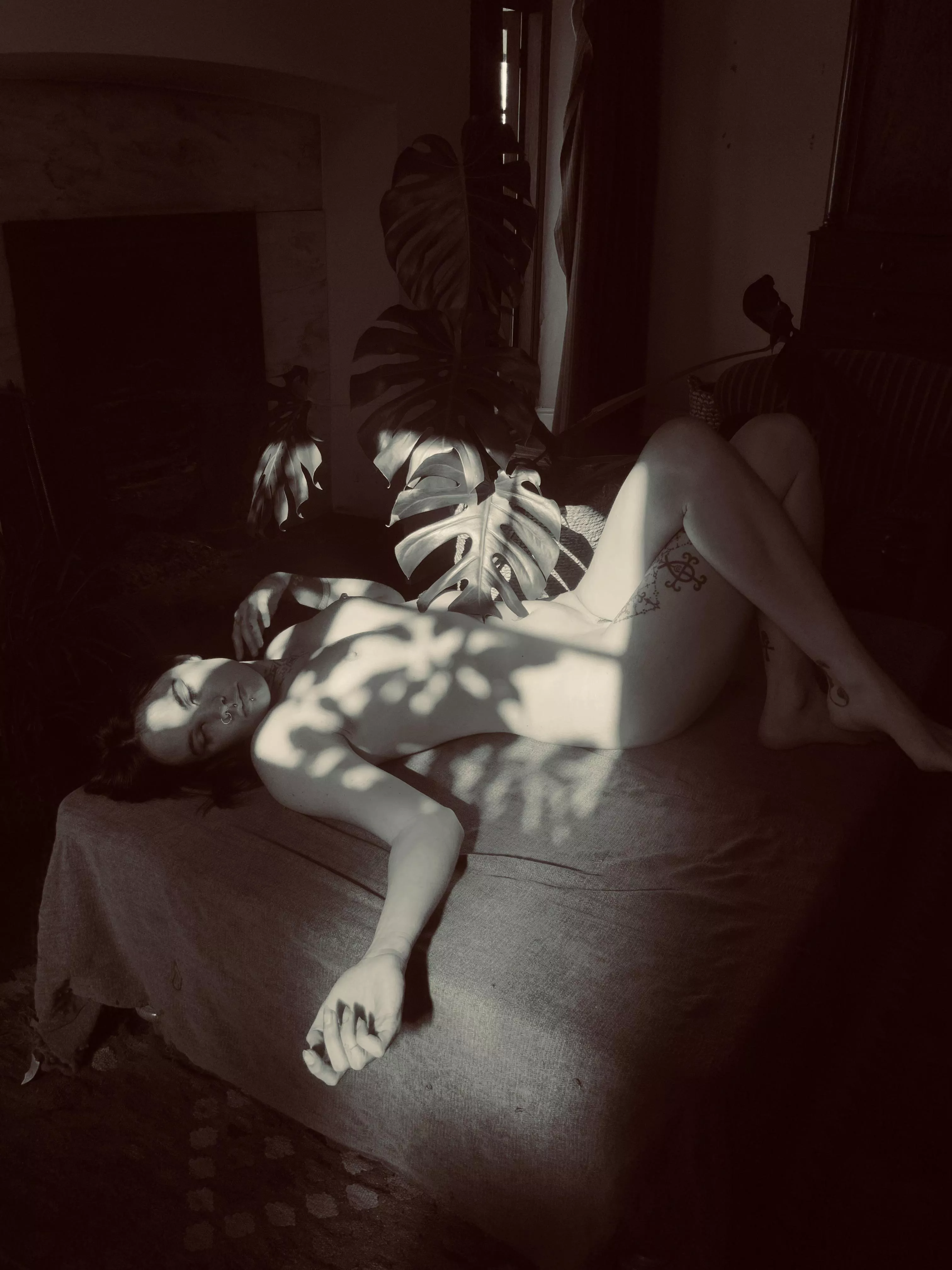 sensual jungle 🌹