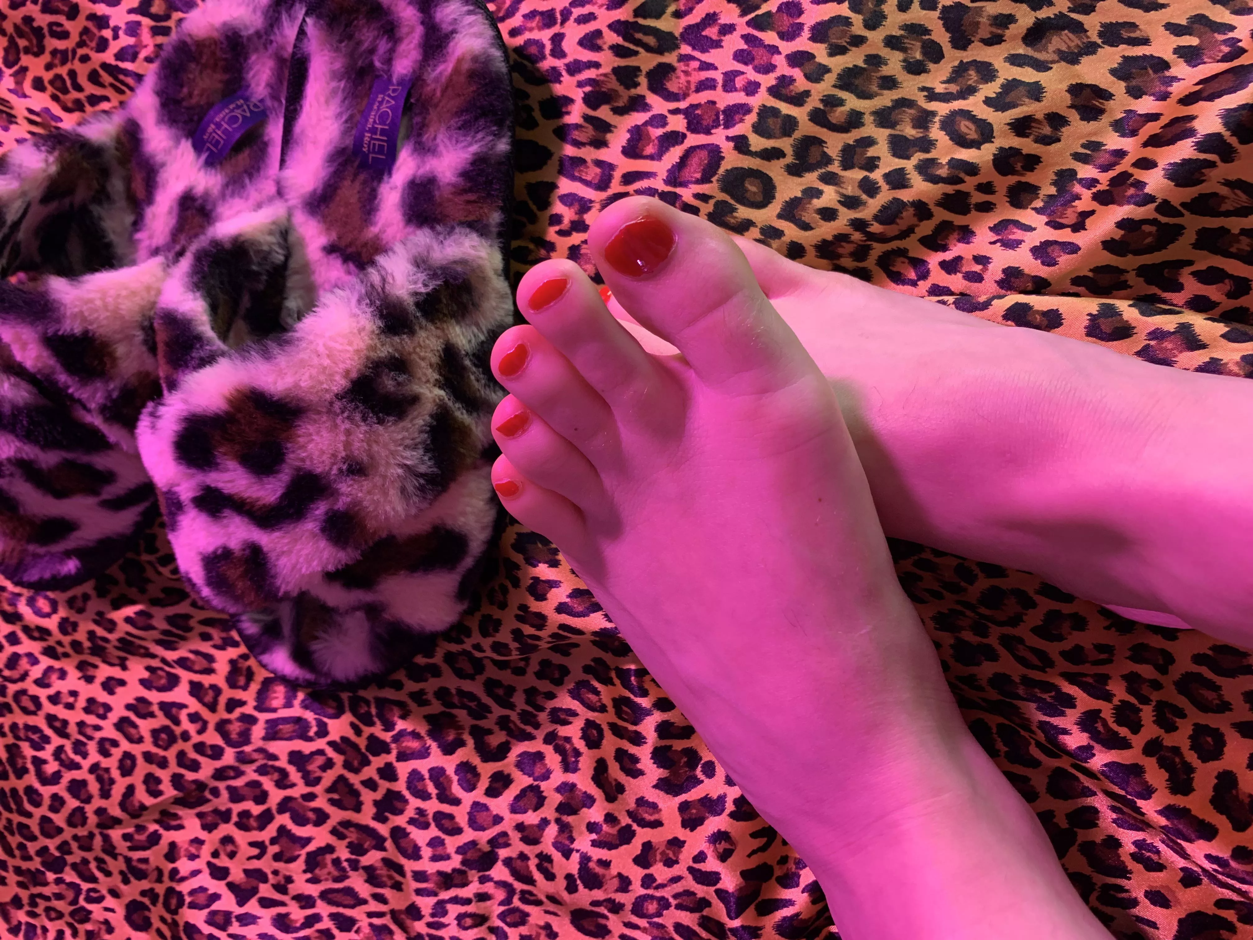 sexy red