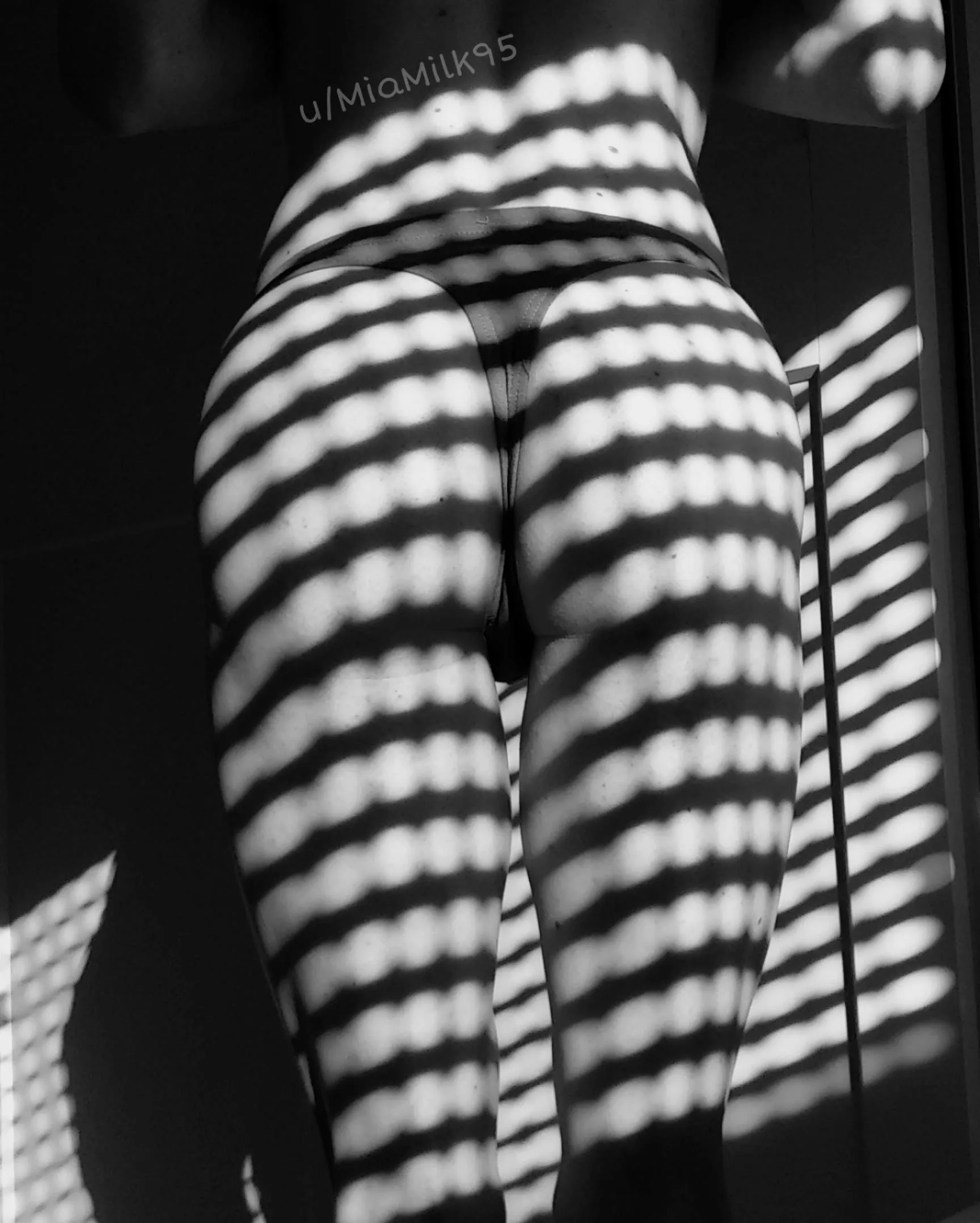 shadows 🖤