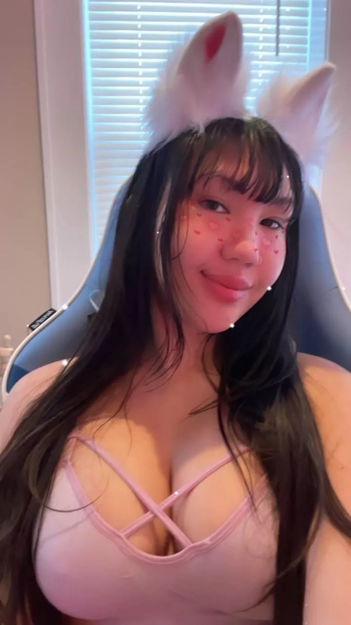 Should I start streaming?