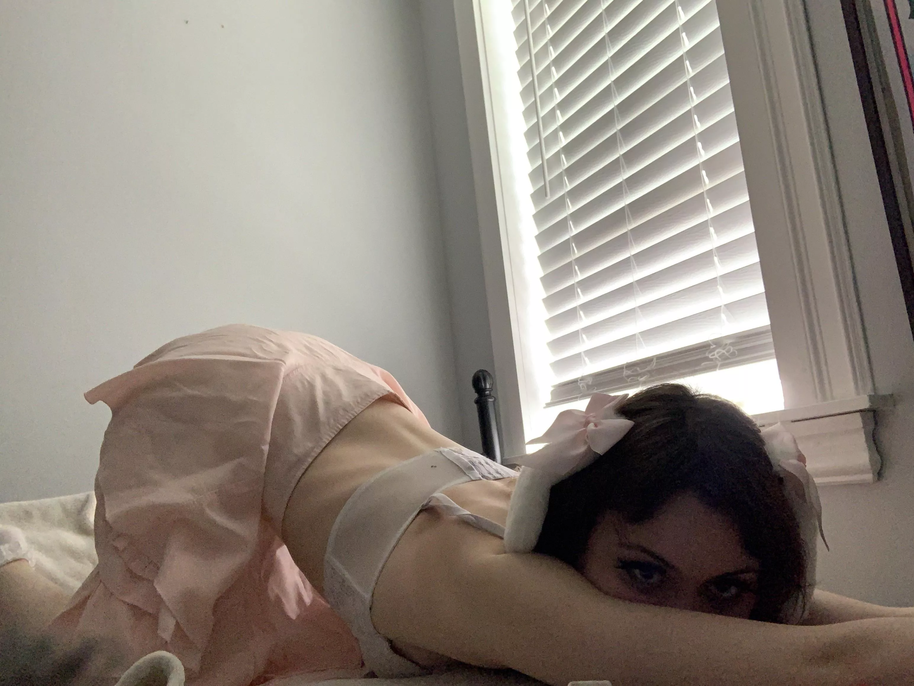 Shy bunny