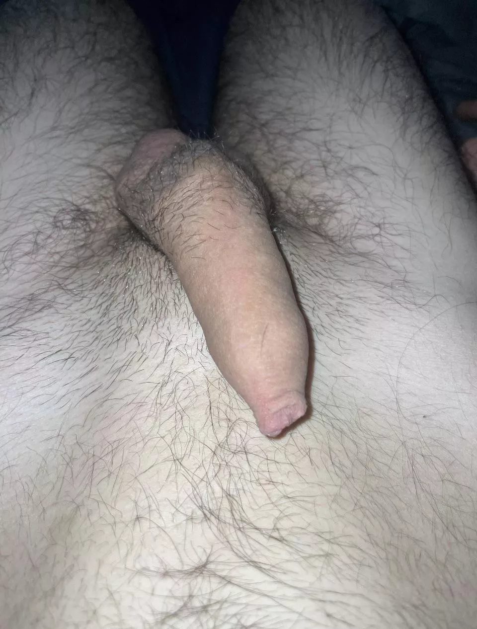 Shy