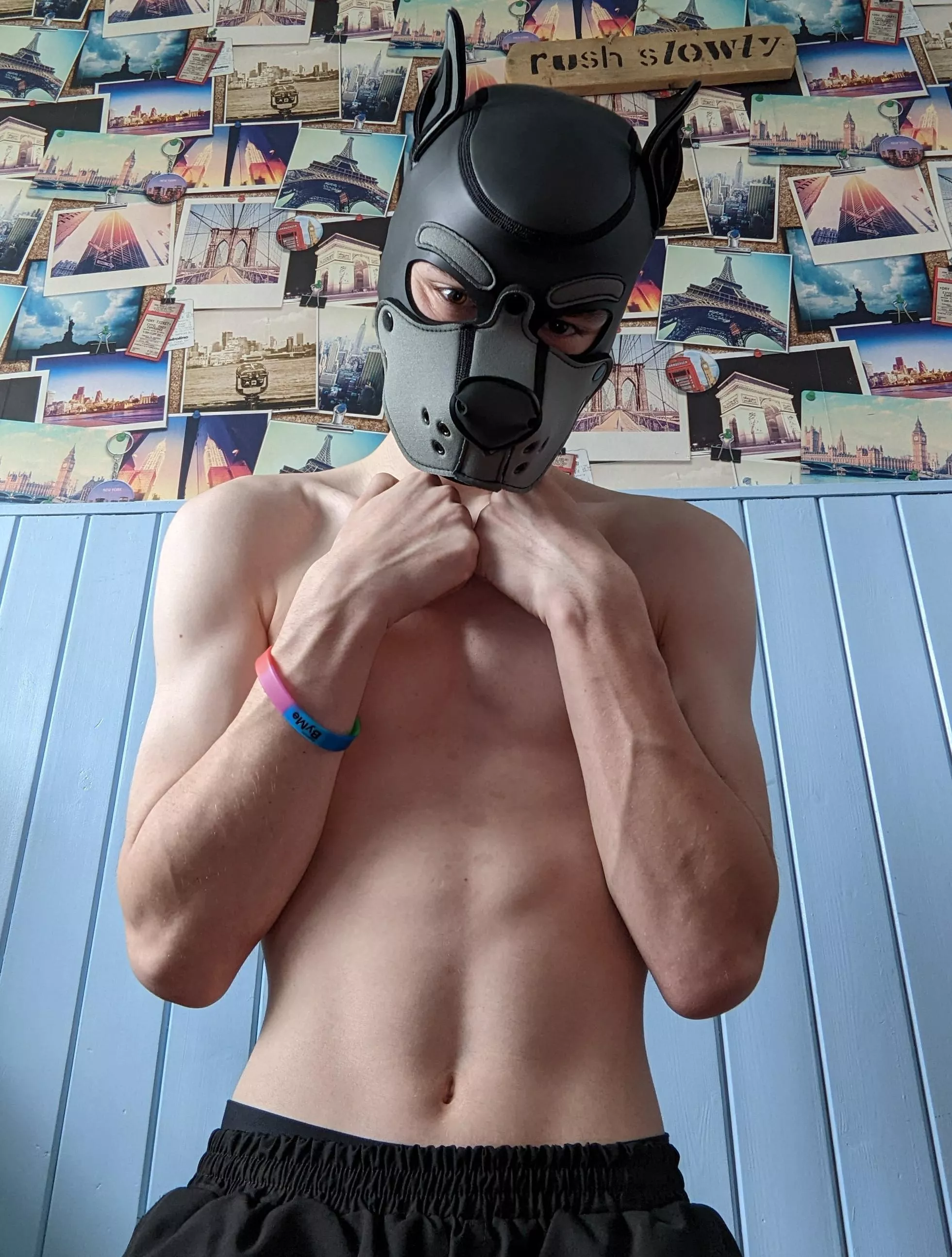 Shy pup :3