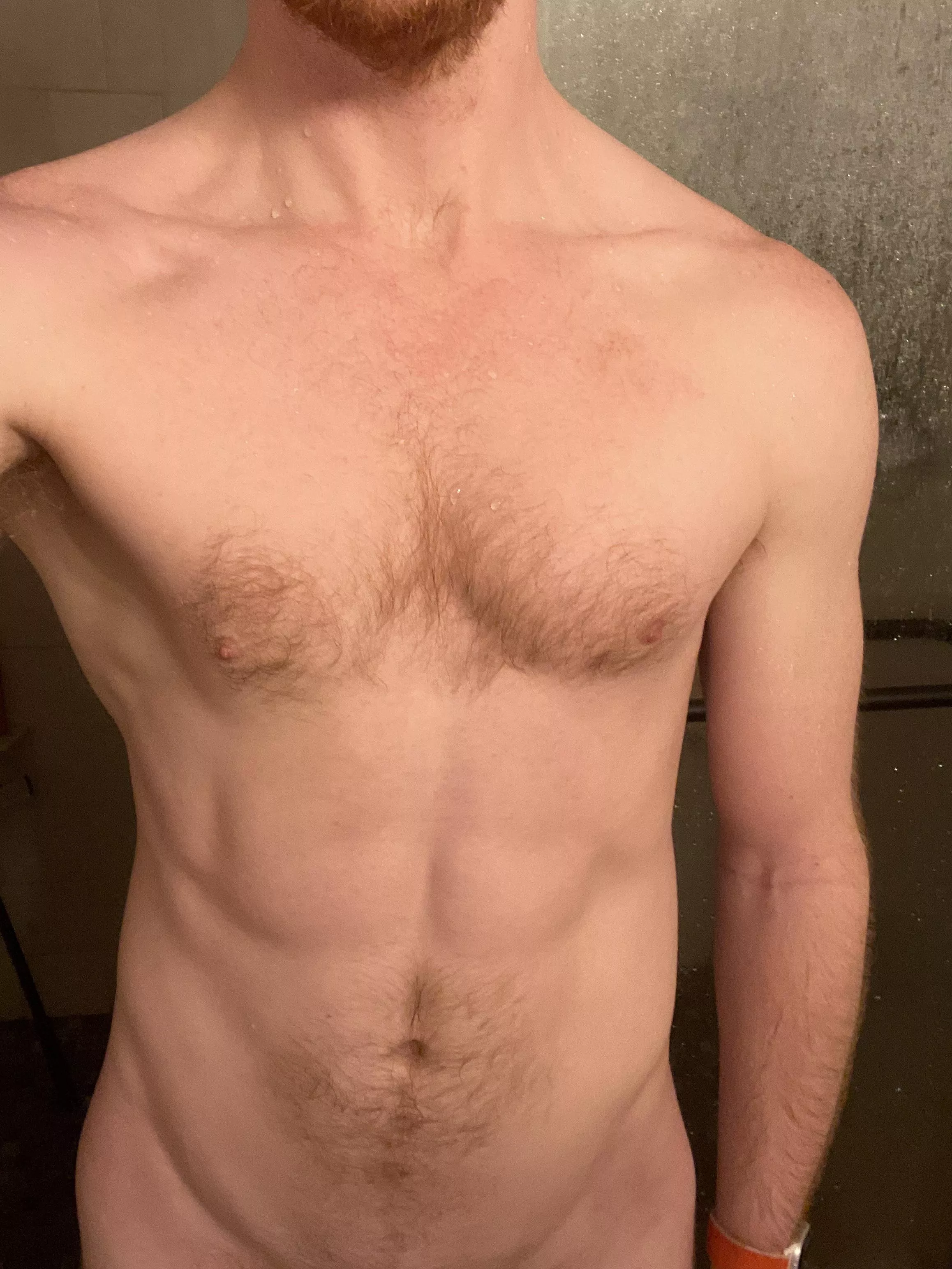 Simple ginger pic