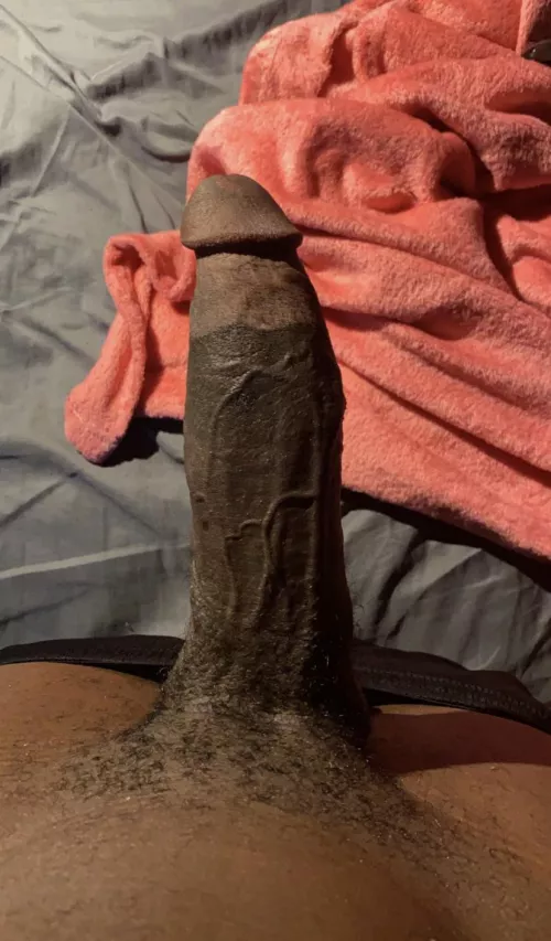 sissies hmu 🫶🏾