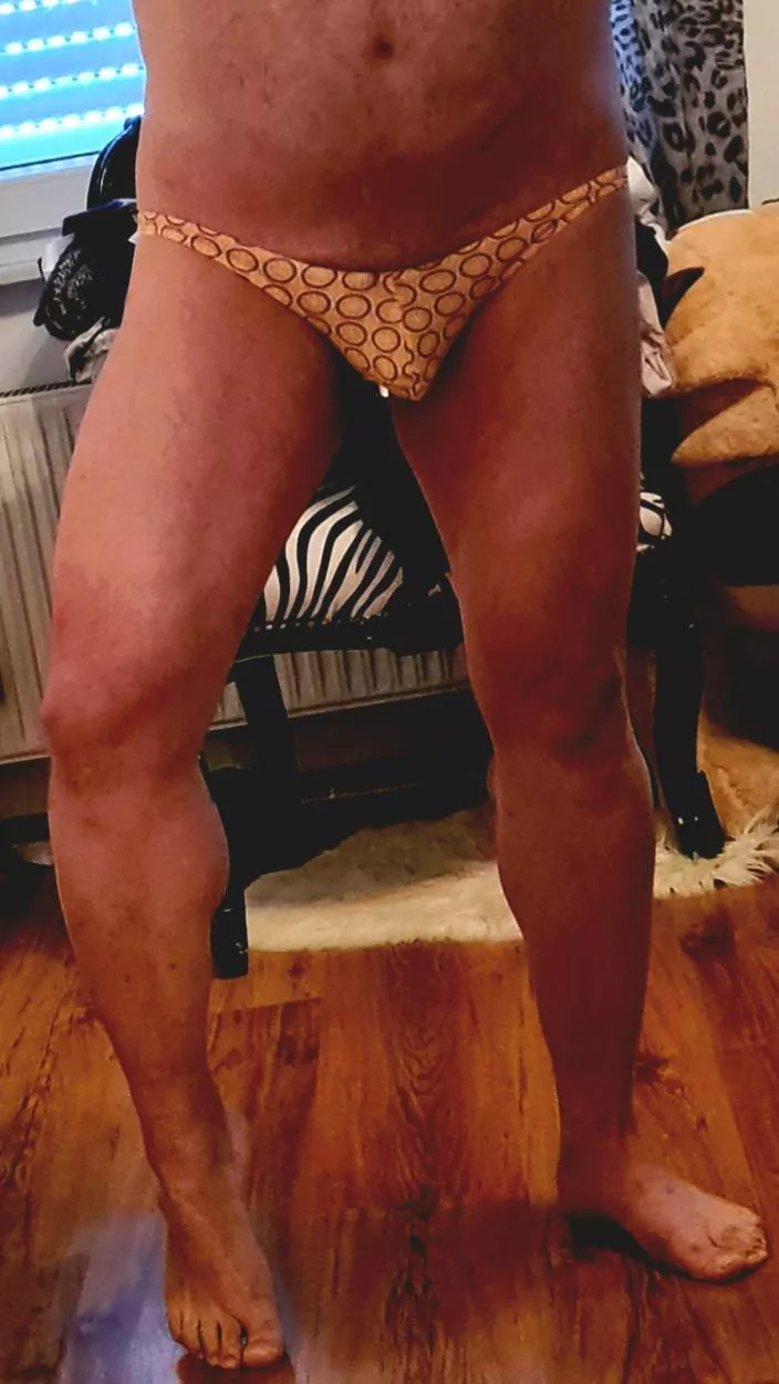 Smallest briefs