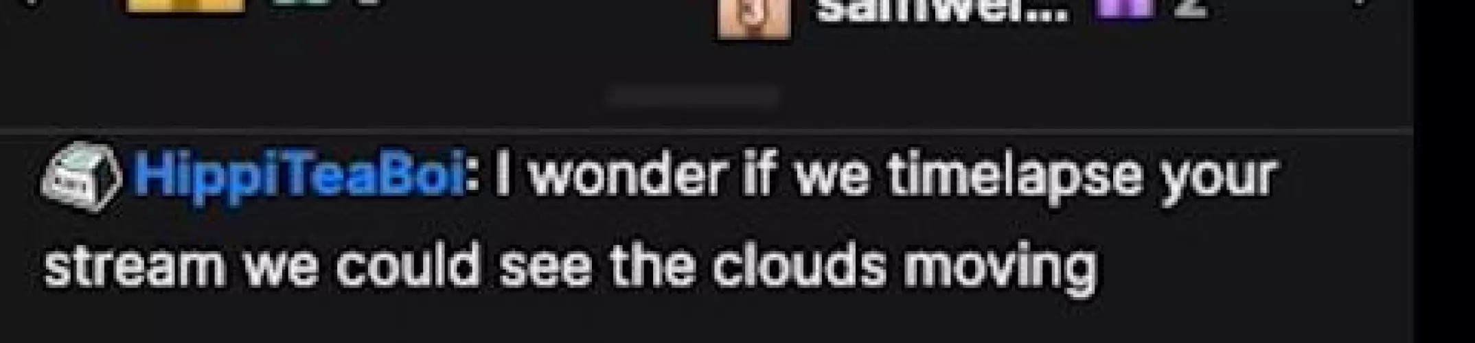 Smartest twitch chat user.