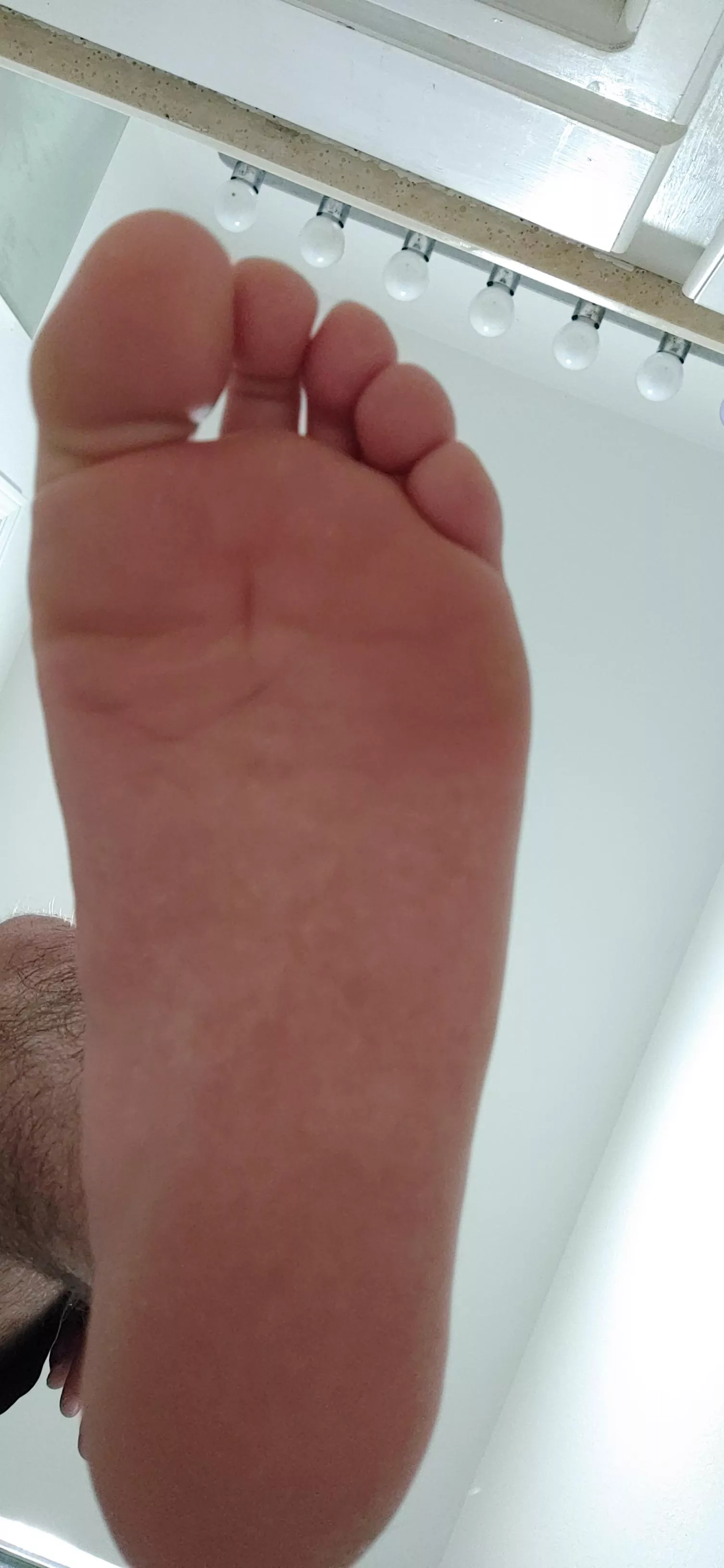 smell them or lick them? smell them or lick them?