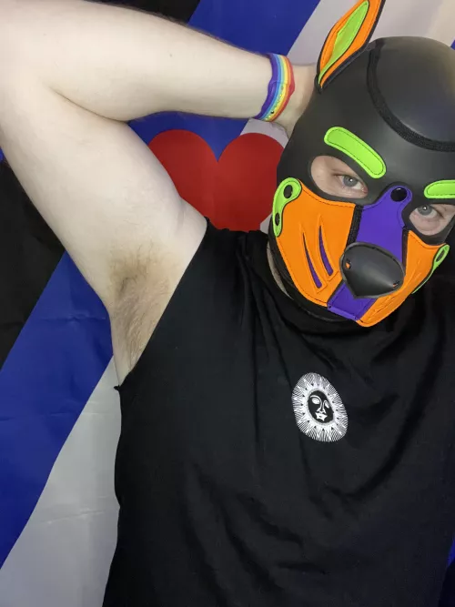 Sniff sniff - follow me on instagram if you want to see more - @pup.spencer