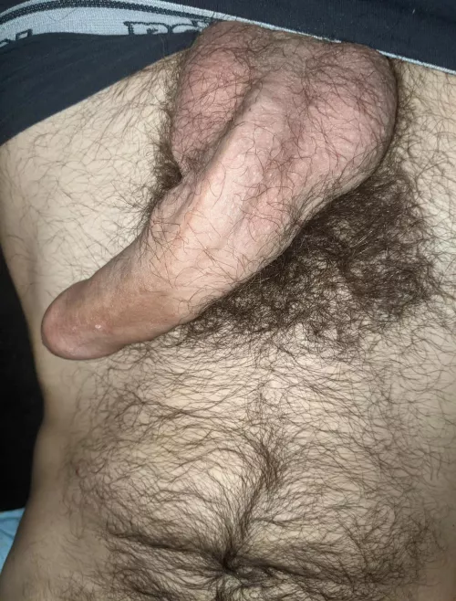 Sniff the bush smells like hard work