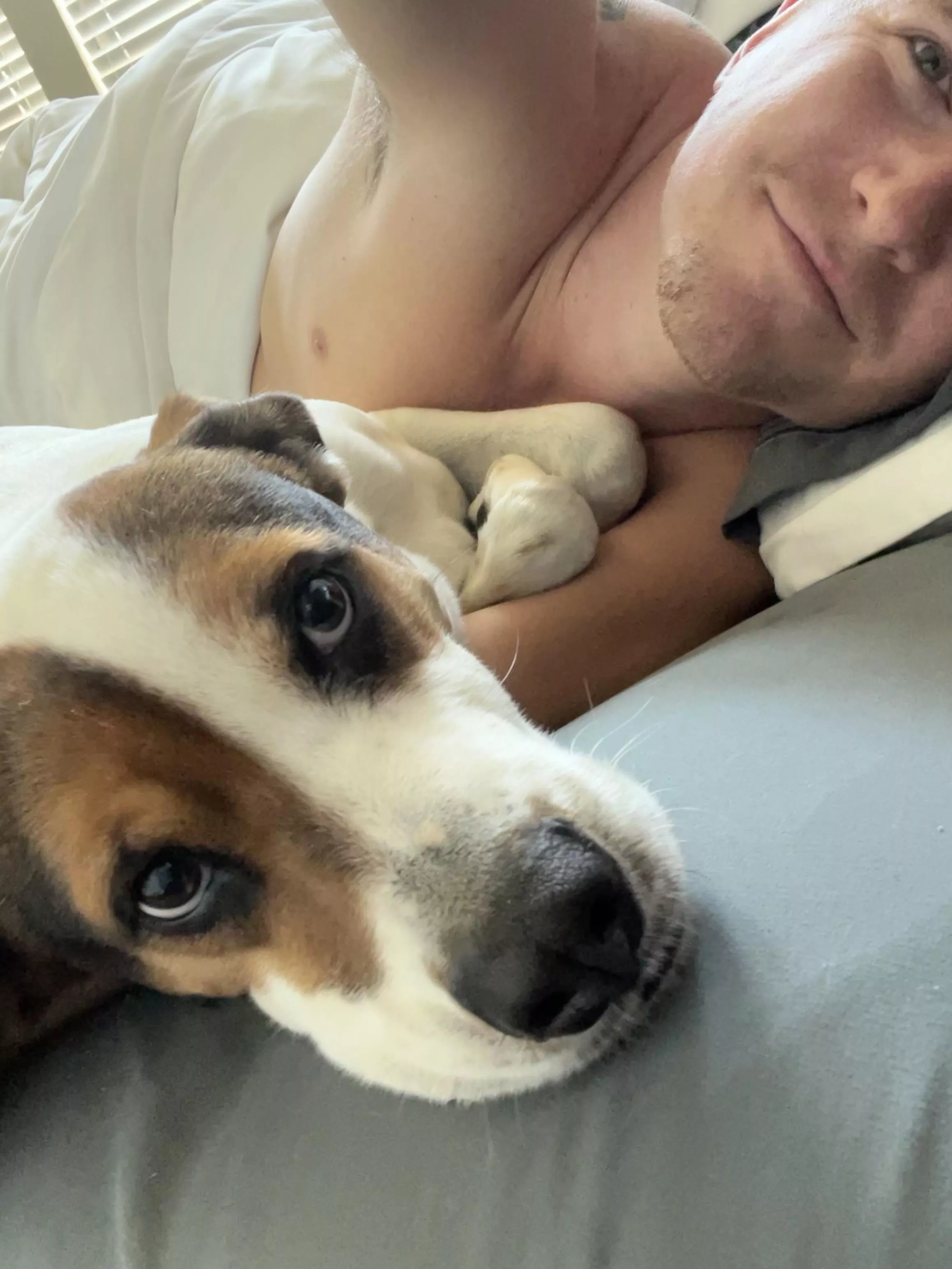 Snuggles