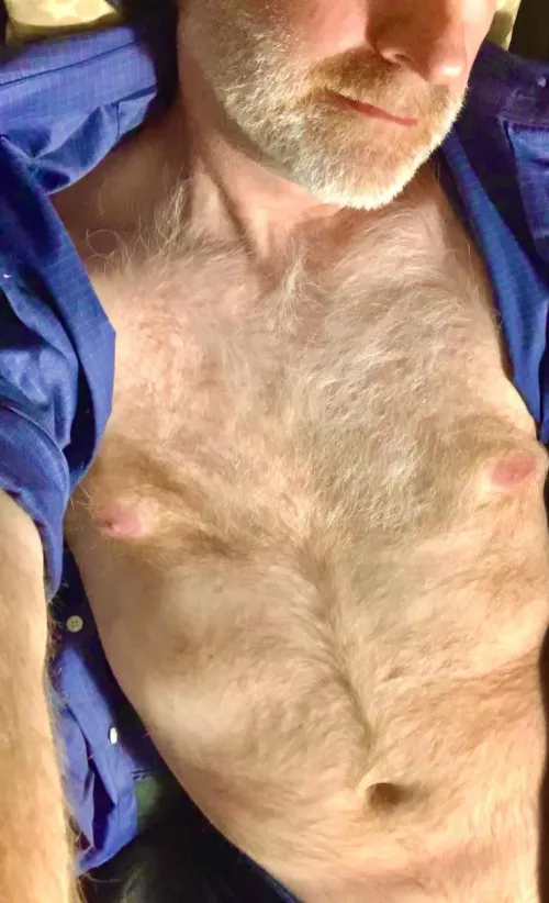 Soft ginger chest hair. All for you.