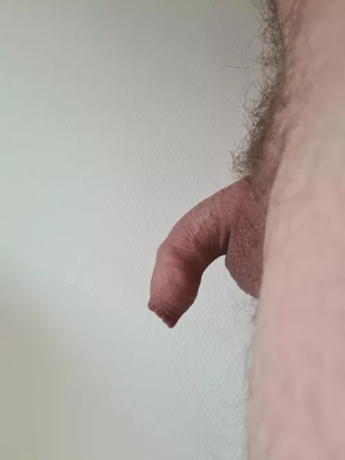 soft, uncut and all yours