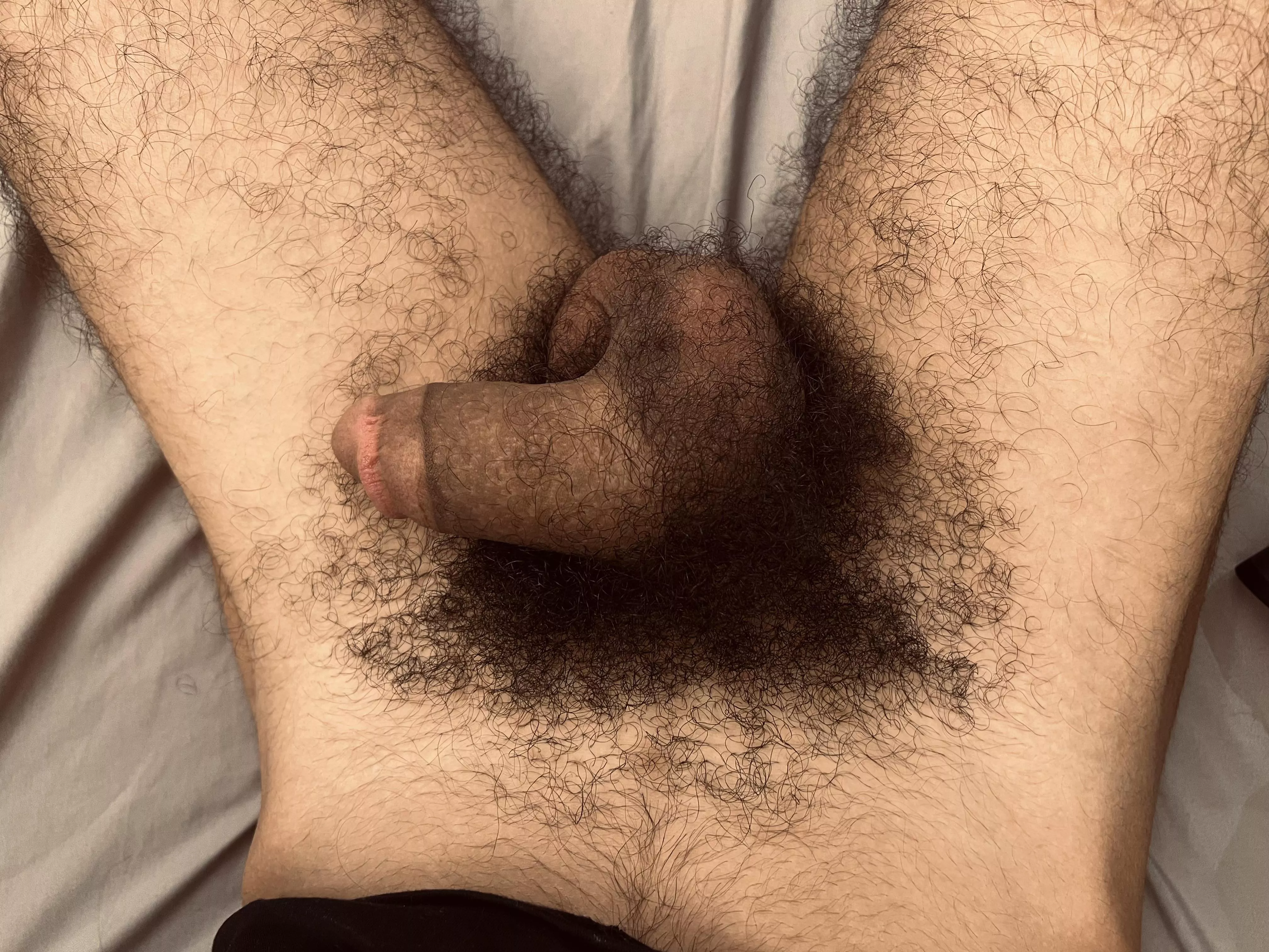 Softie with a curly bush