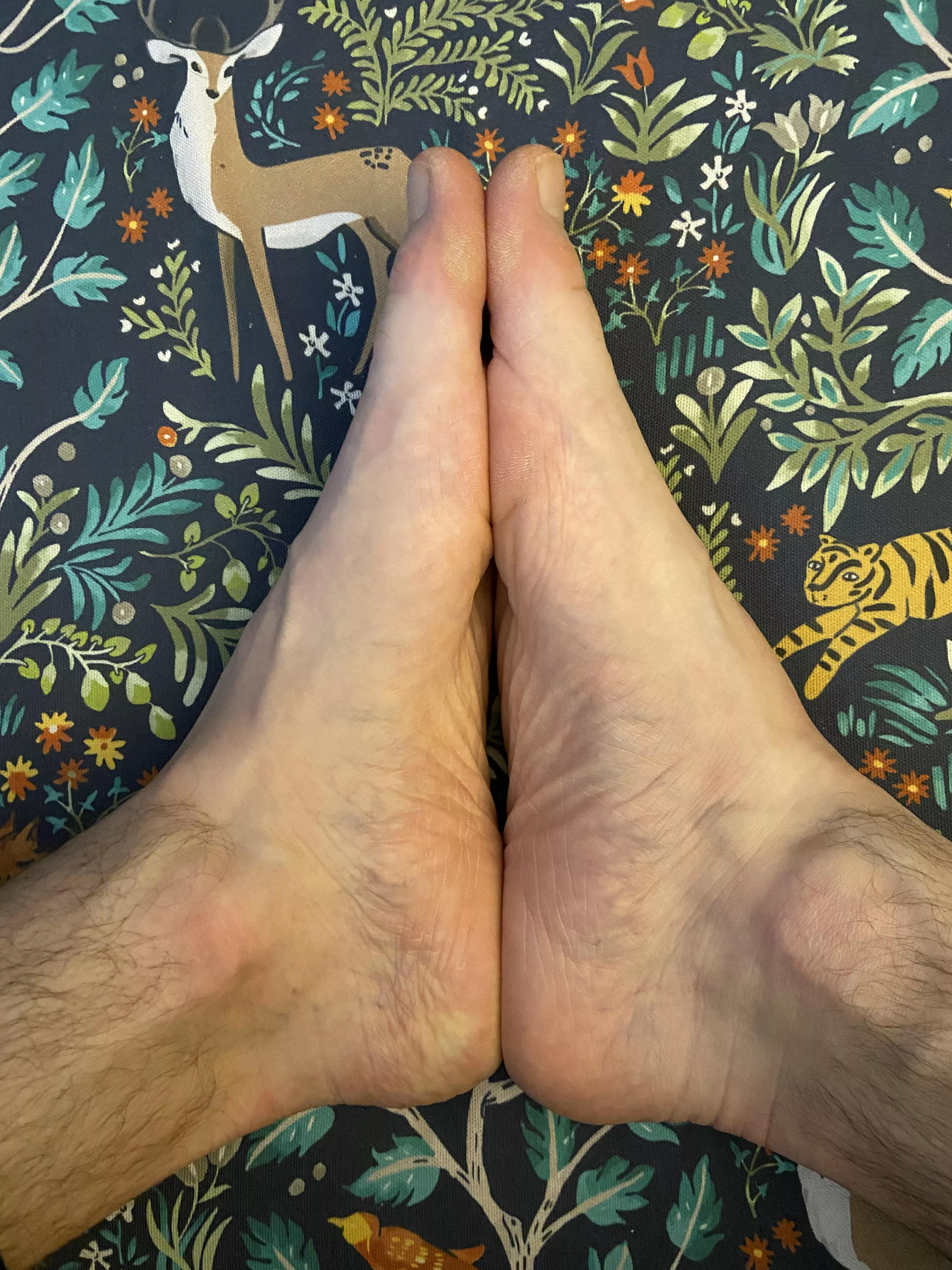 Sole to Sole 🦶