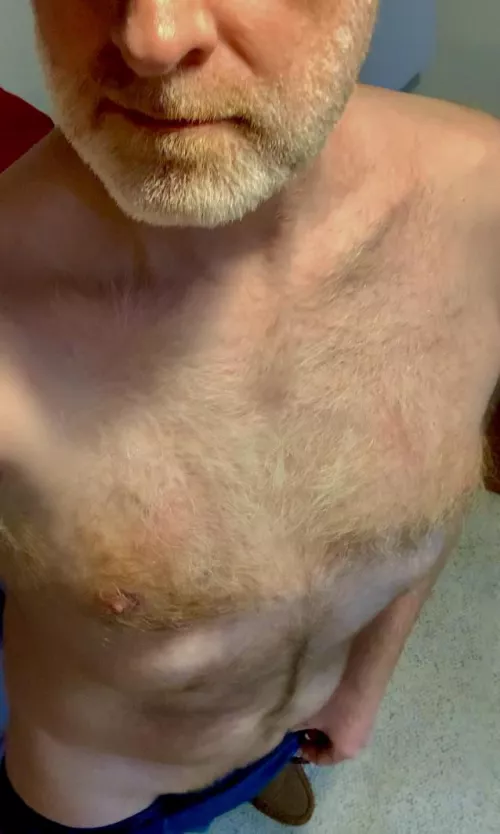 Some ginger fur to contemplate running your hands through.