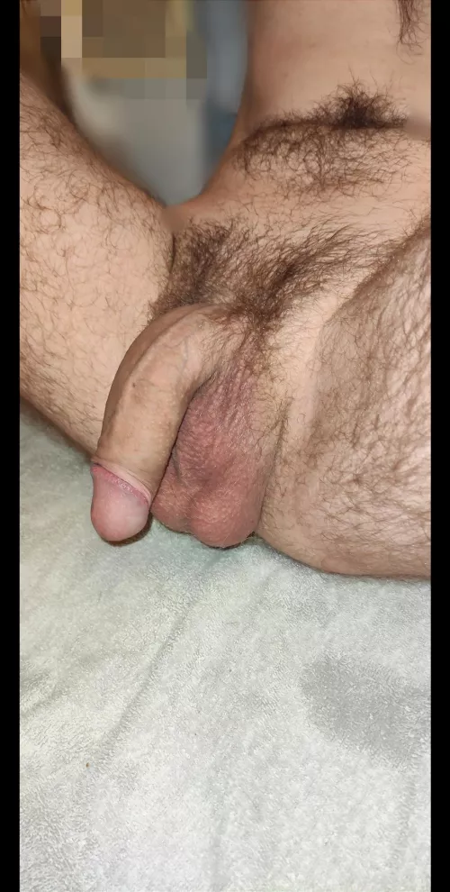 some Love for my uncut cock?