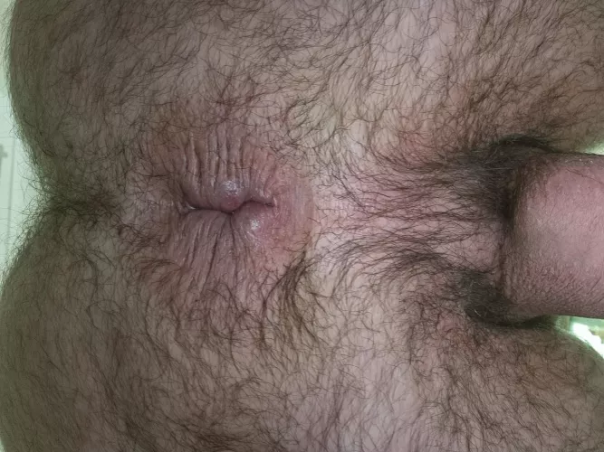 spreading my ass before a shower