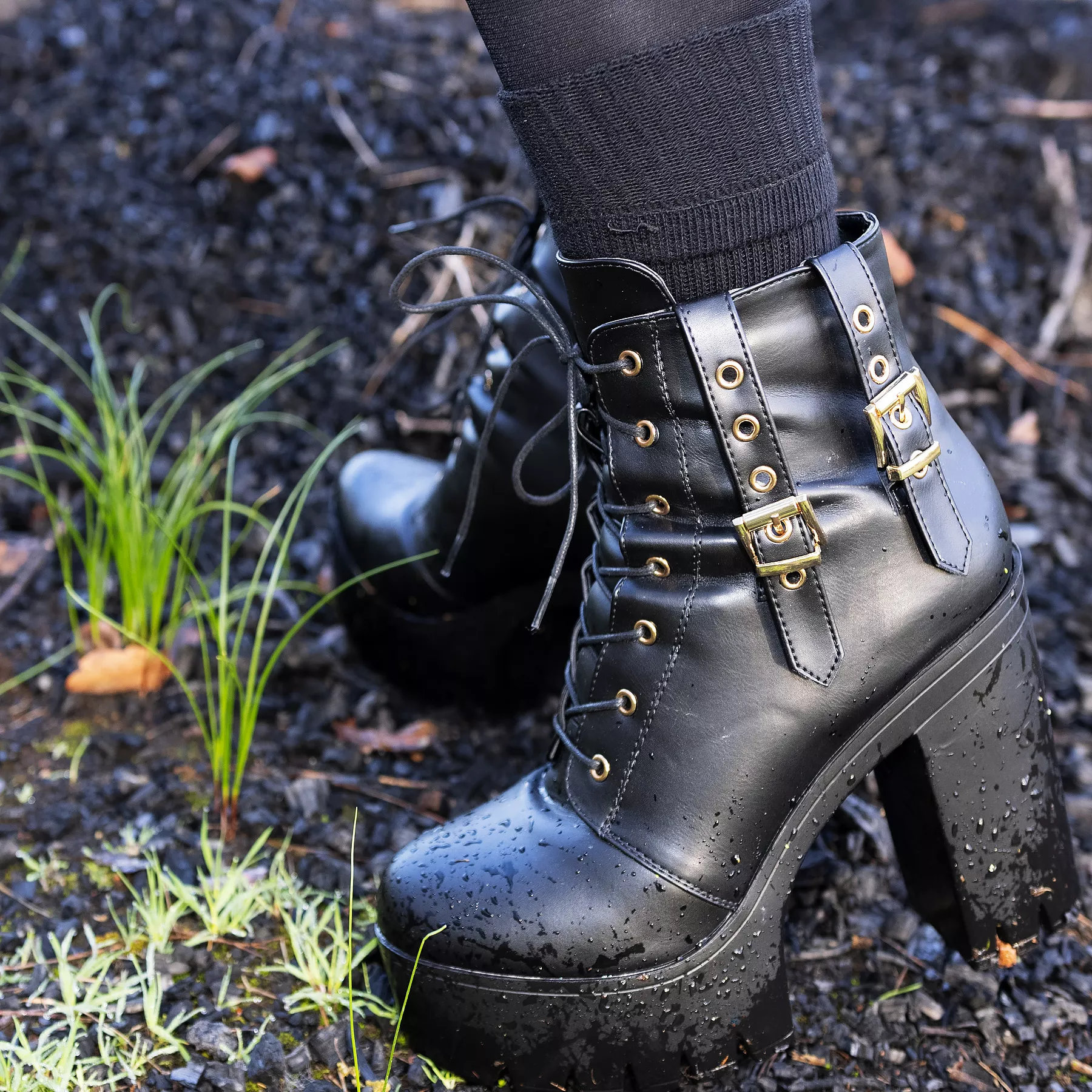 Spring is coming!