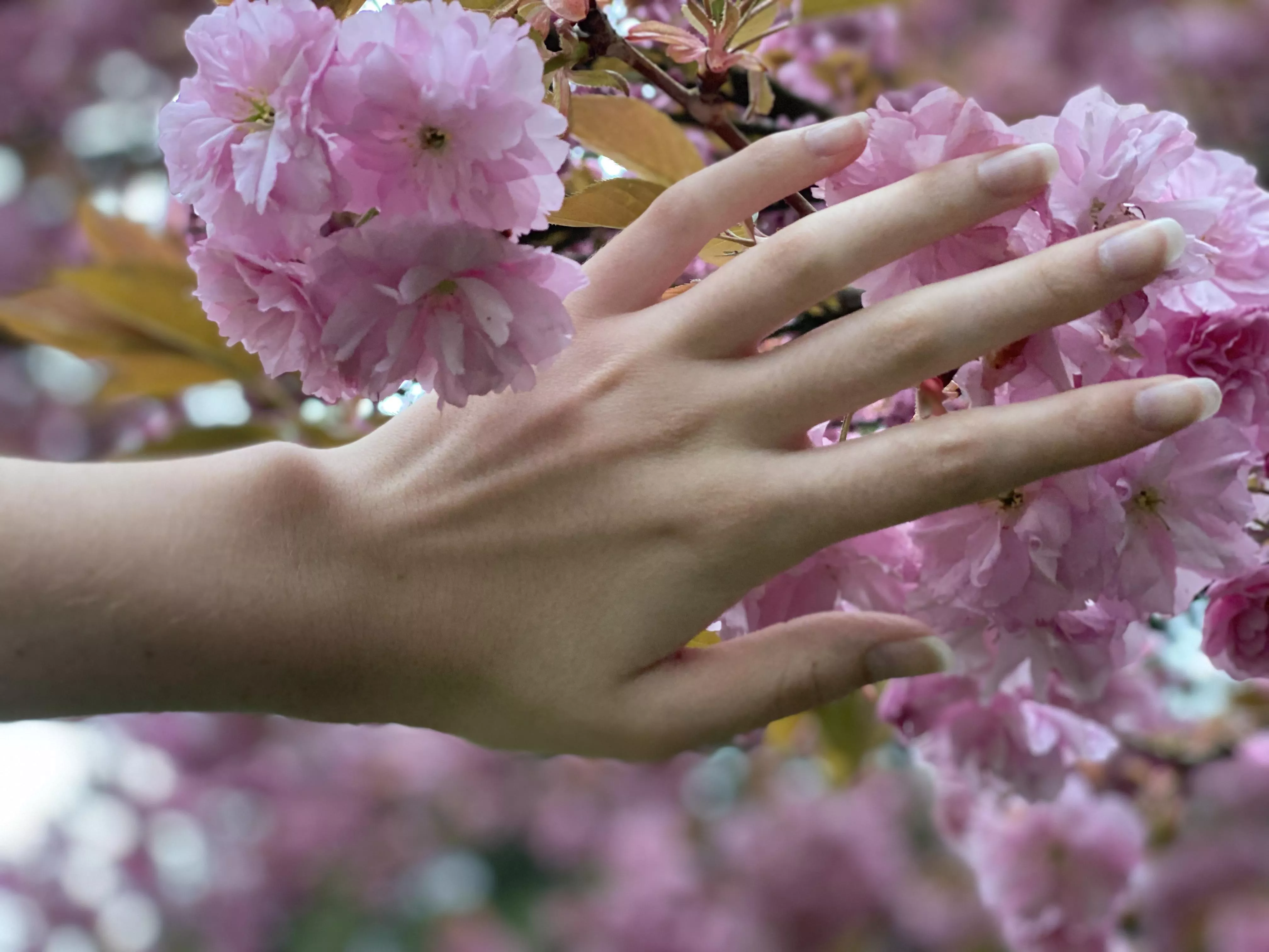 Spring time 🌸