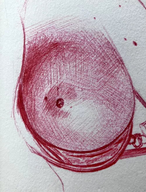 Starting a new sketch ✍️