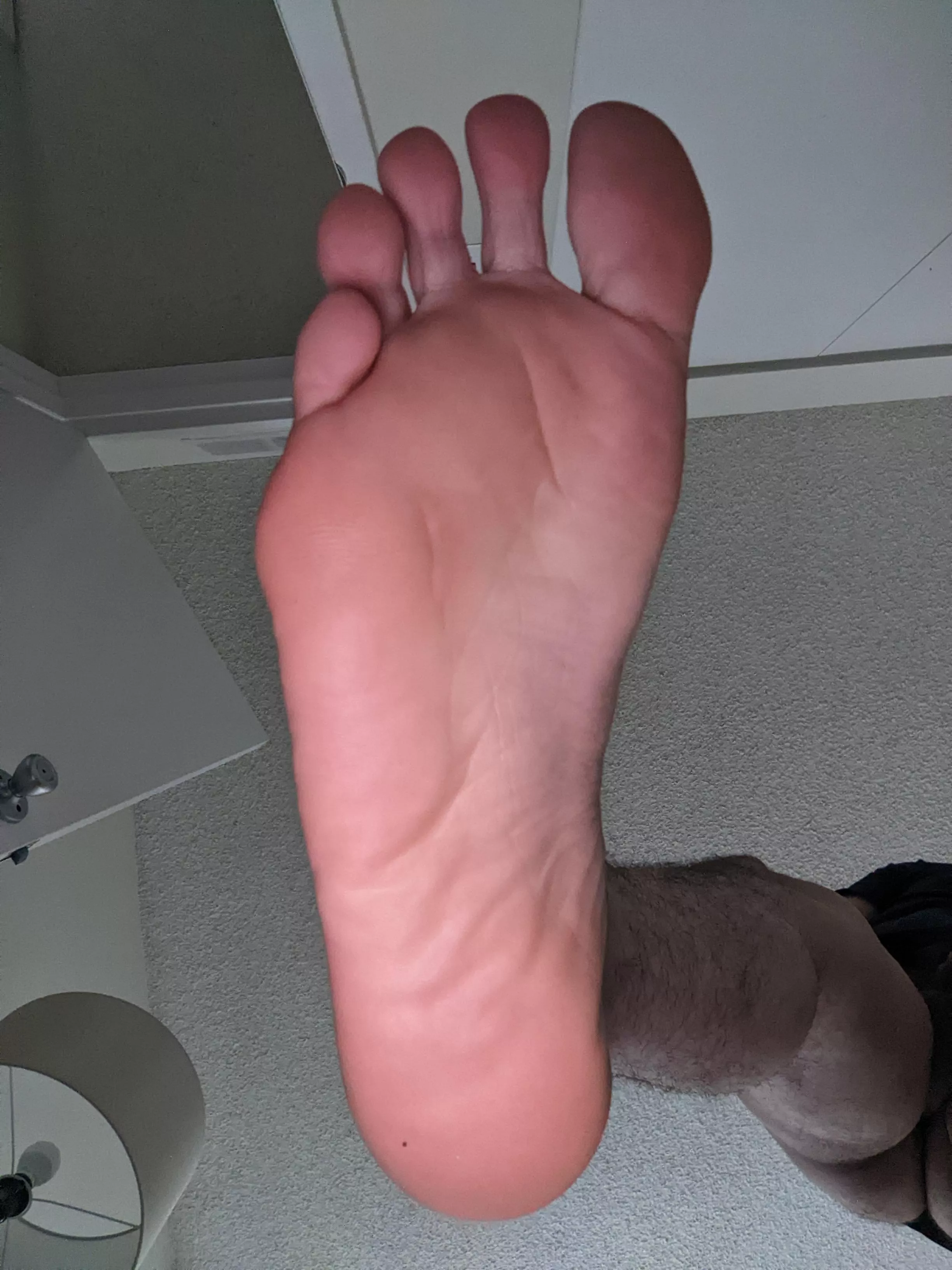 Steppy