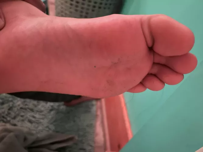 Stinky level : 4 😏[oc]