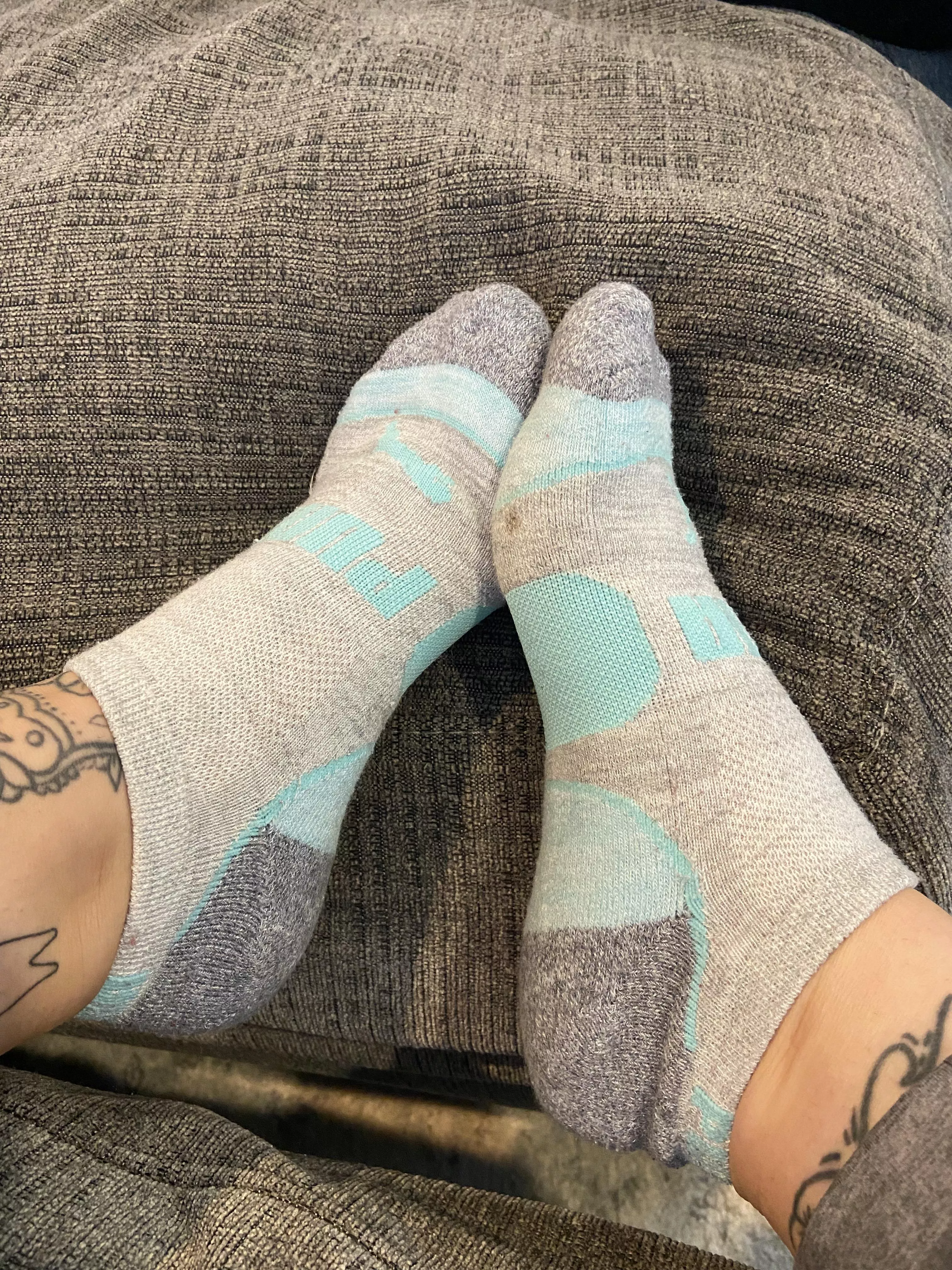 Stinky piggies 😜