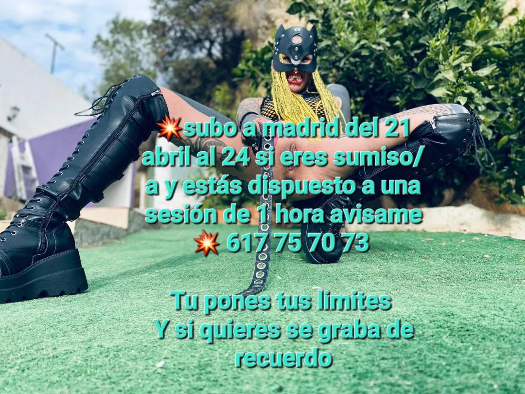 Subo a Madrid del 21 al 24 de abril. Si eres sumiso/a y estás dispuesto a una sesión de 1 hora avísame. Tú pones los límites y si quieres se graba de recuerdo. Subo a Madrid del 21 al 24 de abril. Si eres sumiso/a y estás dispuesto a una sesión de 1 hora avísame. Tú pones los límites y si quieres se graba de recuerdo.