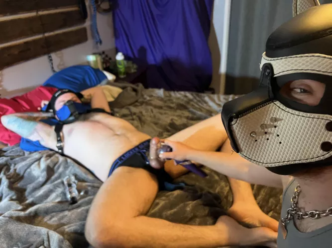 Such a mischievous look that says - “how quick are we gonna get him off today, sir?”