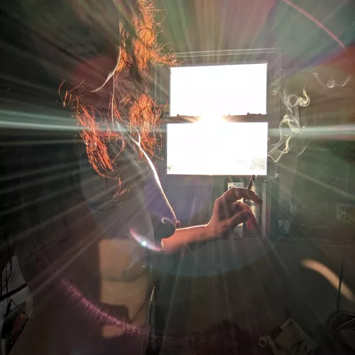 Sunny Monday coming at you! Have the best day (f)ellow ents!