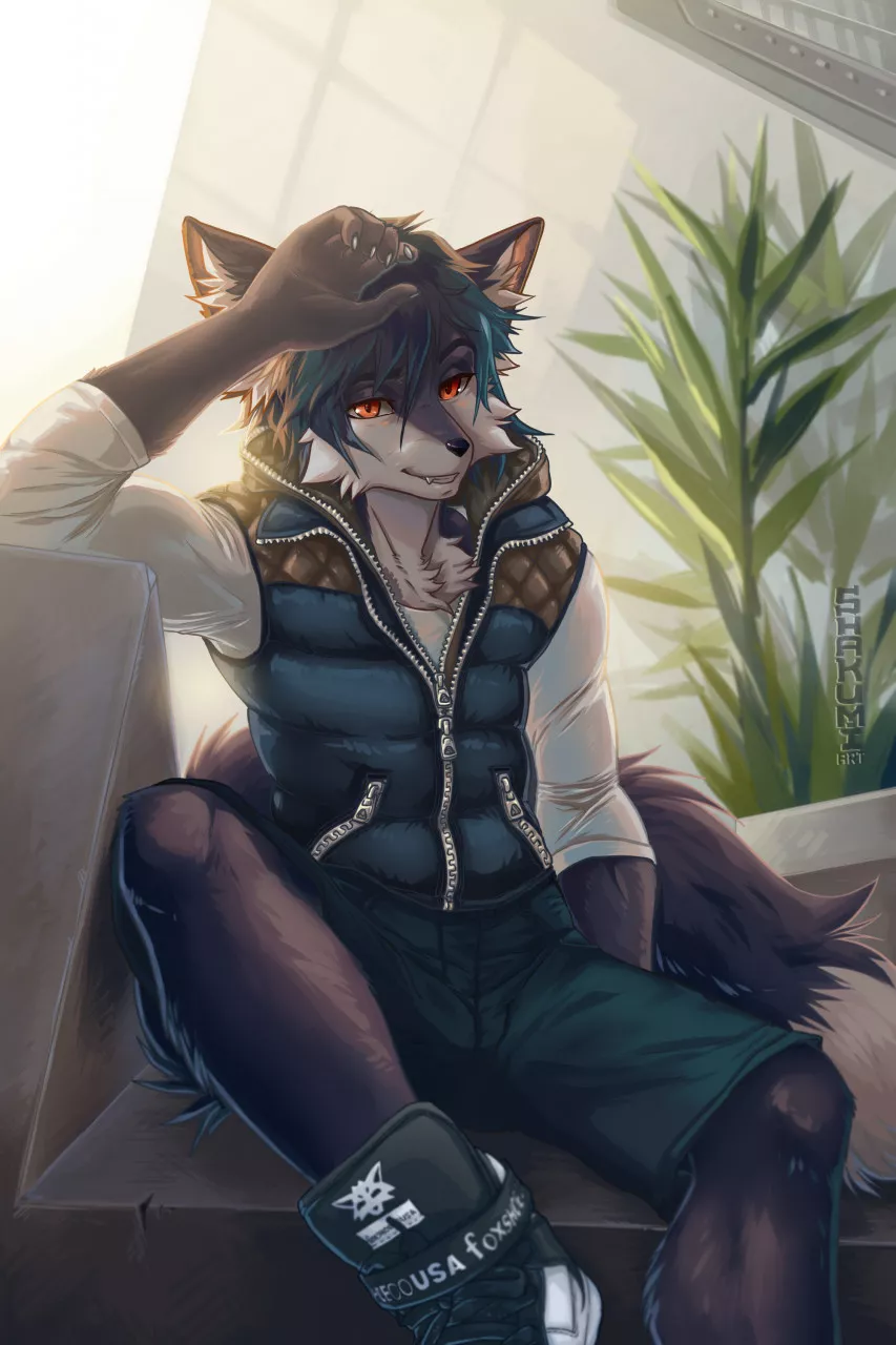 Sunrise [Shakumi]