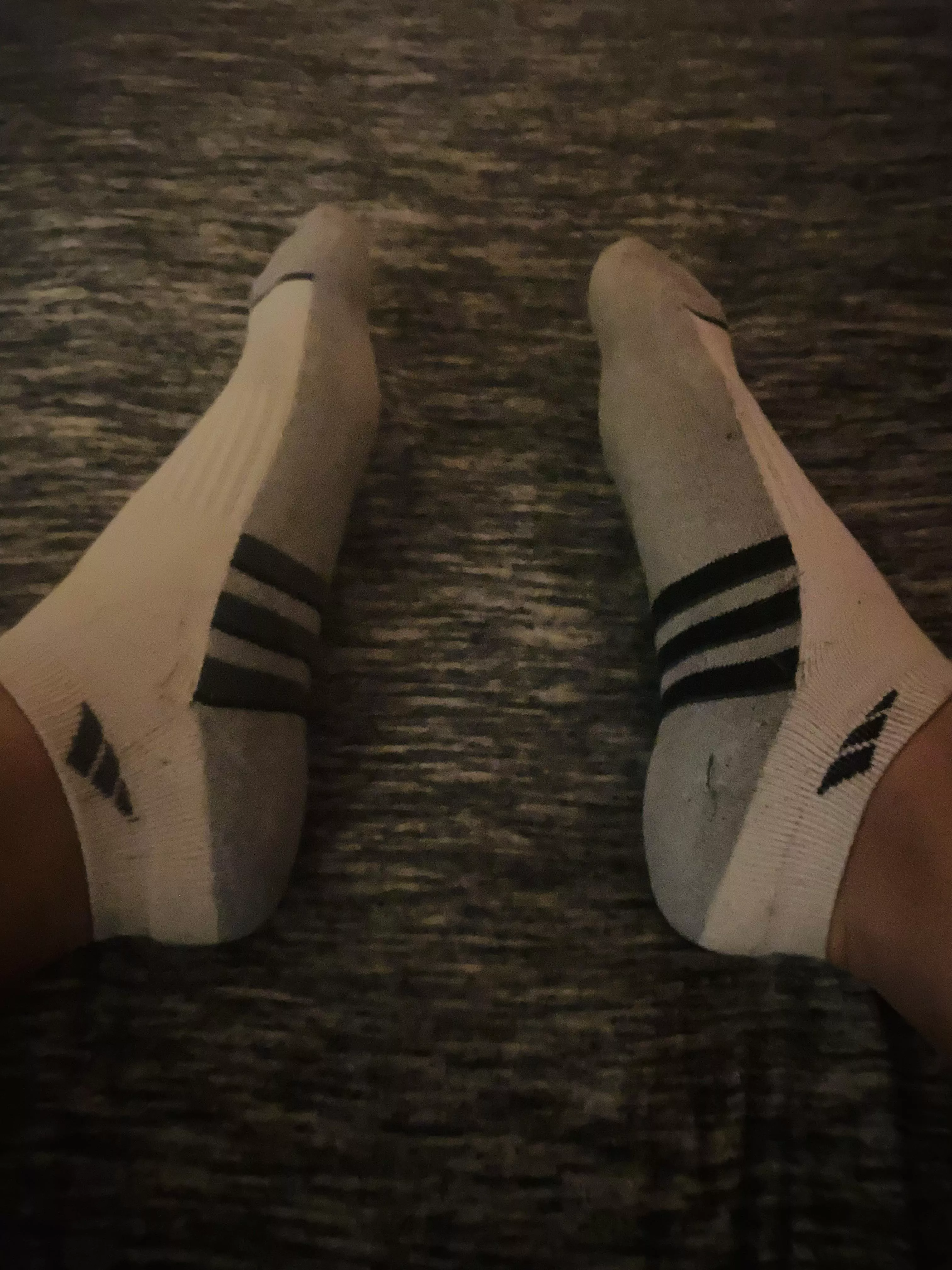 Sweaty Addis Socks🤤