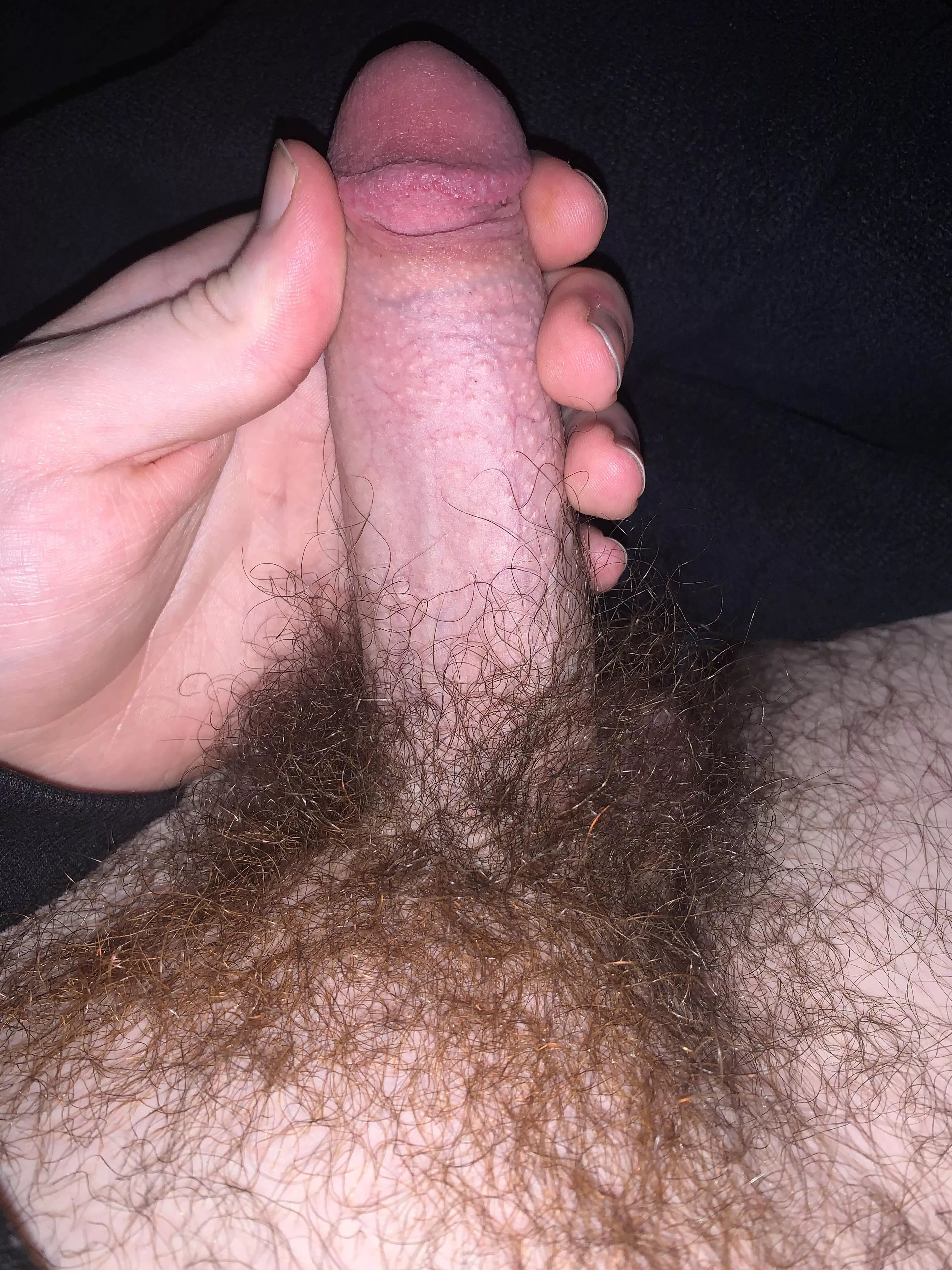 sweaty bush